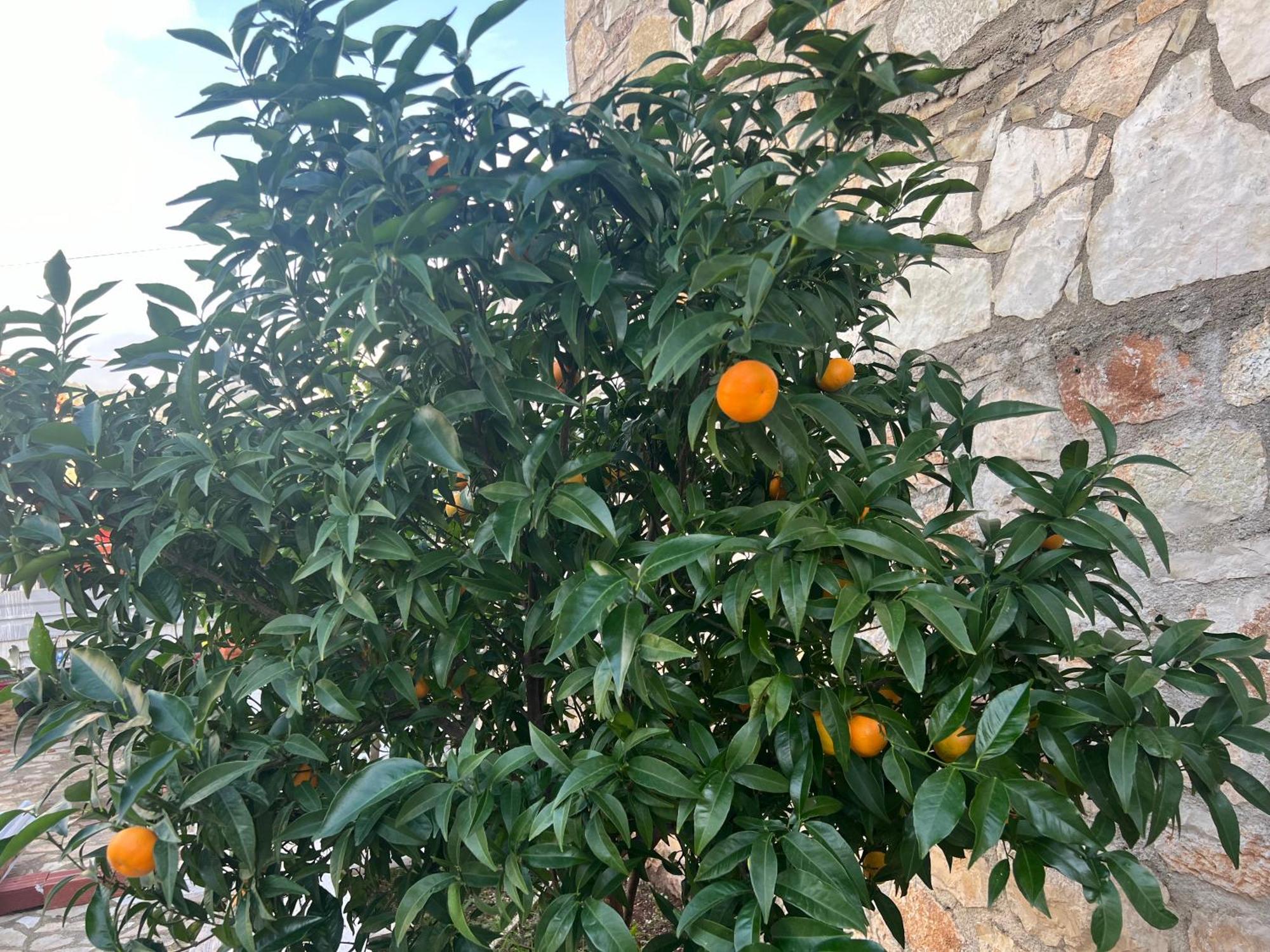 Jardin Miraculeux Ξενοδοχείο Χειμάρρα Εξωτερικό φωτογραφία