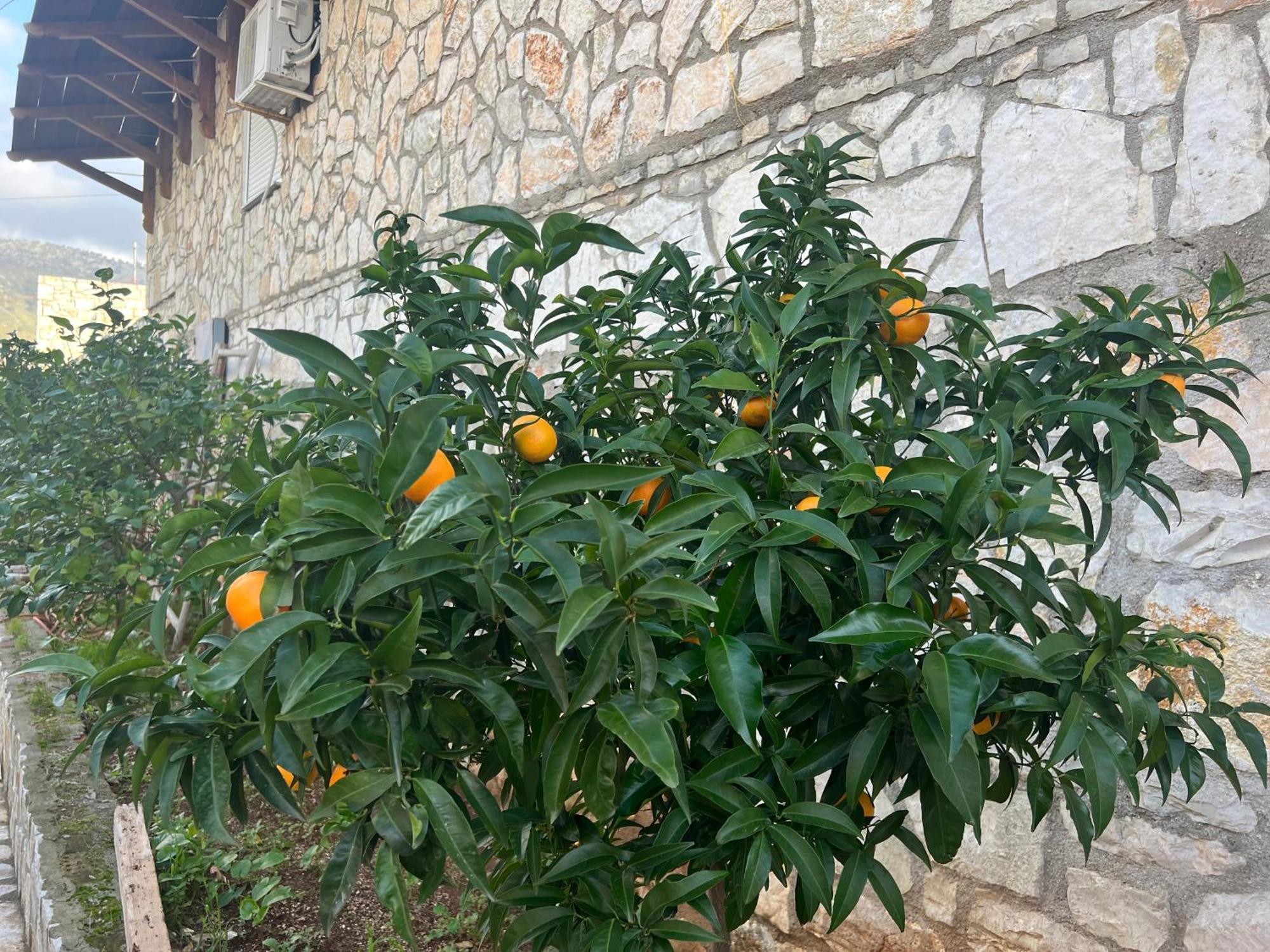Jardin Miraculeux Ξενοδοχείο Χειμάρρα Εξωτερικό φωτογραφία